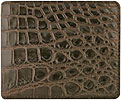 Crocodile Purse US style(Out of stock)